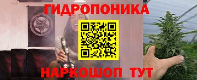 ALPHA PVP Гай