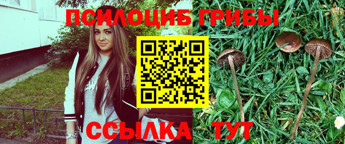 Галлюциногенные грибы прущие грибы Жигулёвск