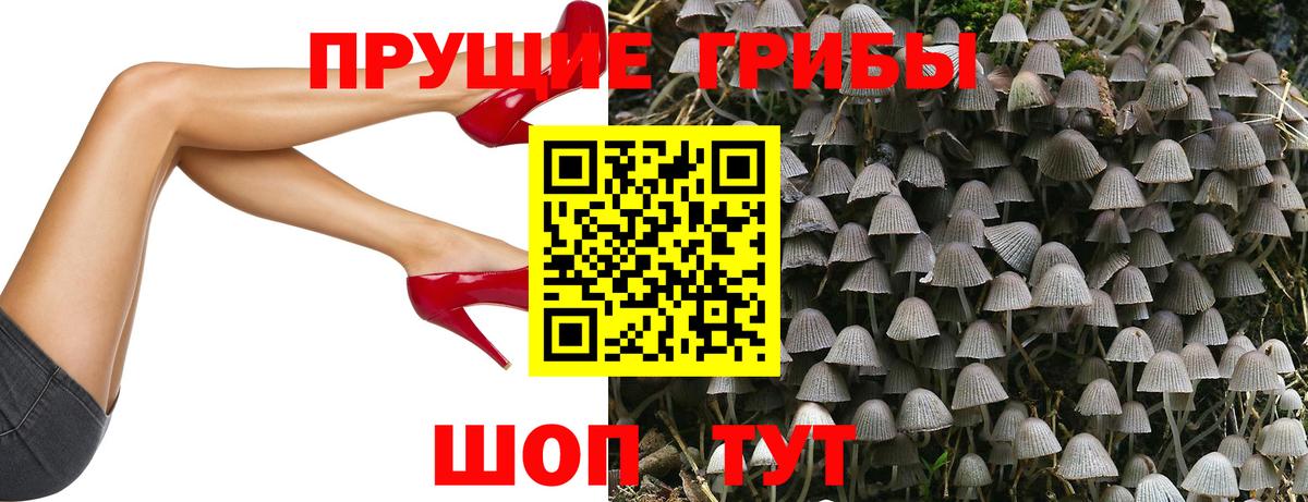 Жигулёвск  Галлюциногенные грибы мицелий  Вход с VPN  Псилоцибиновые грибы Magic Shrooms 
