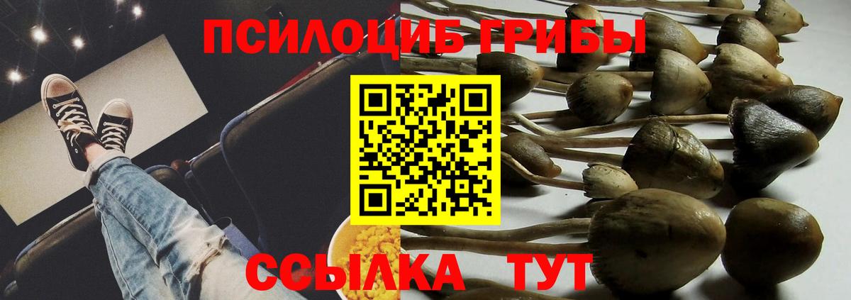 Галлюциногенные грибы прущие грибы  сколько стоит  Жигулёвск  Псилоцибиновые грибы Psilocybine cubensis 